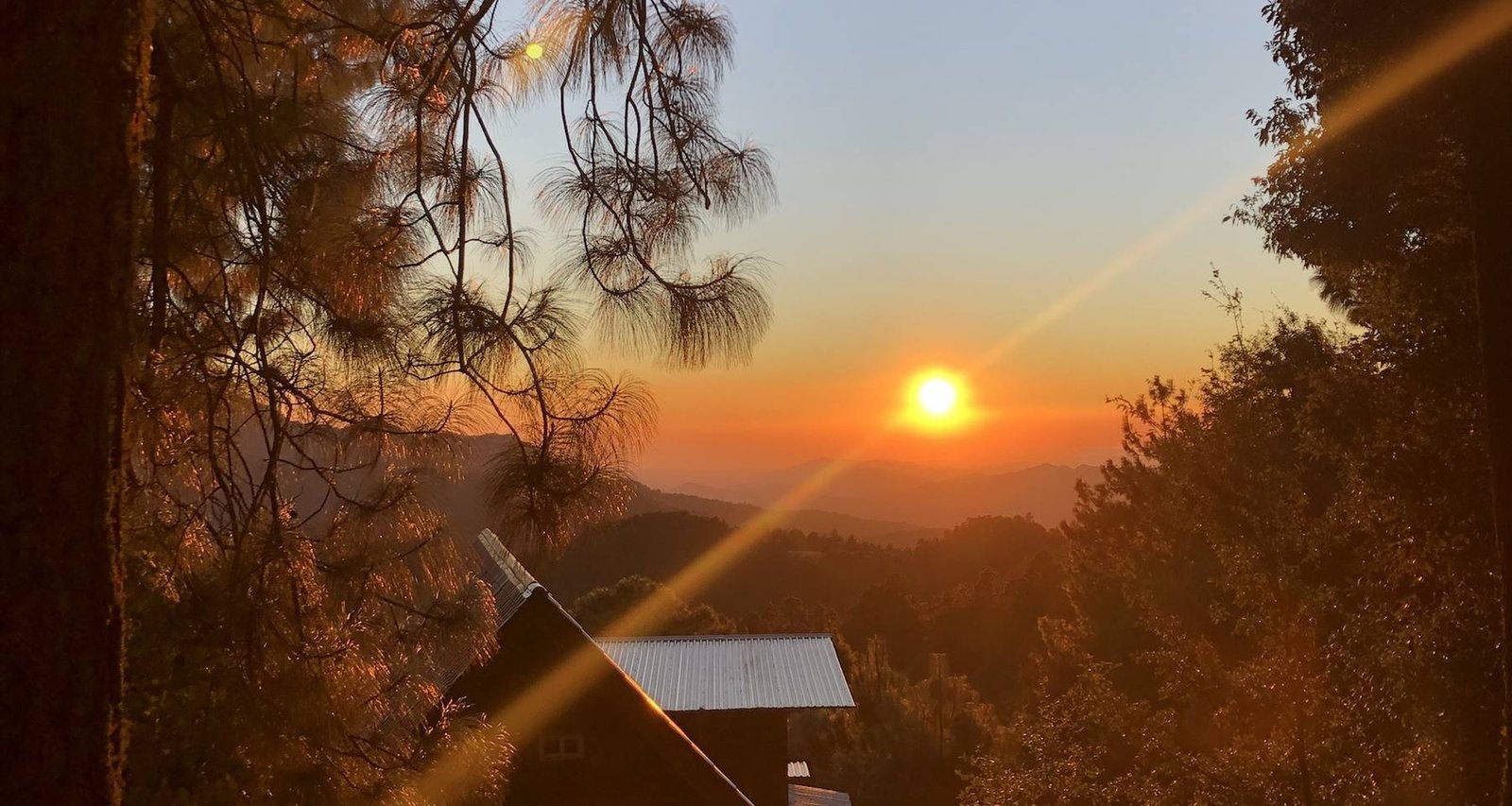 Abendsonne zwischen Kiefern über einer Berglandschaft