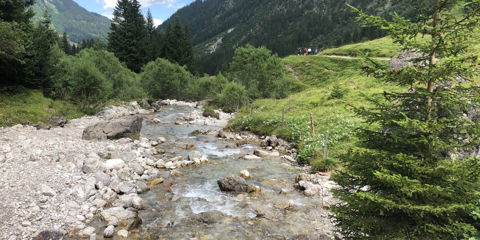 Ein klarer Gebirgsbach fließt durch ein grünes Tal
