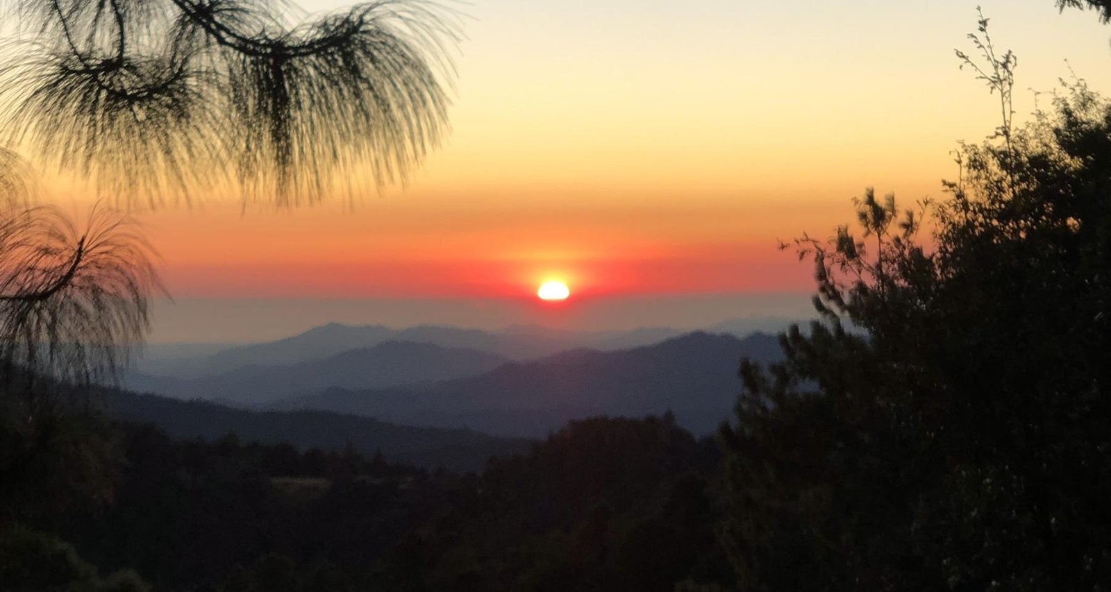 Sonnenaufgang hinter Kiefernzweigen über Bergketten